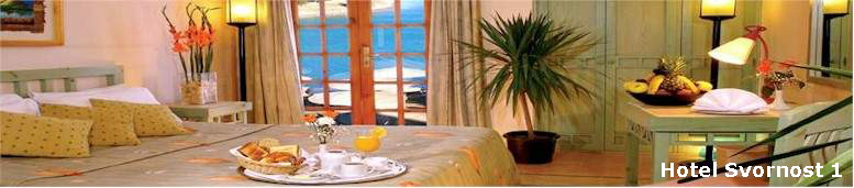 Hotel Svornost 1
