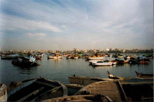 Alexandria_1