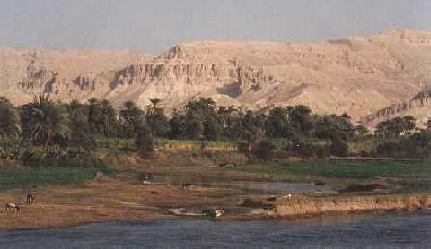 NILE1