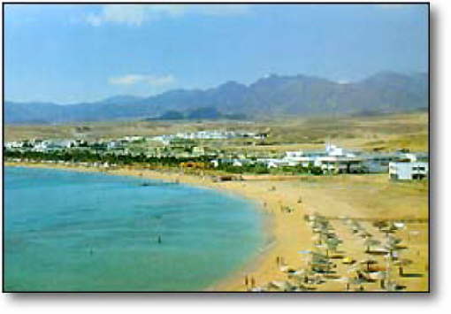 SHARM 1