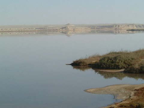 Siwa Oasis, Egypt 14