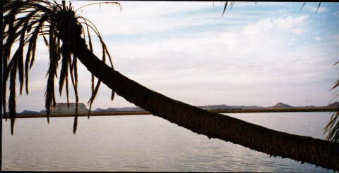 Siwa Oasis, Egypt 23