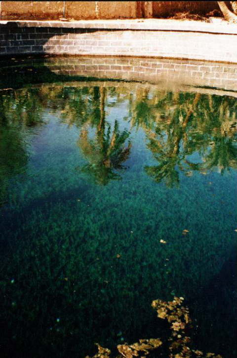 Siwa Oasis, Egypt 25