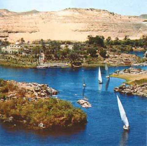 aswan133
