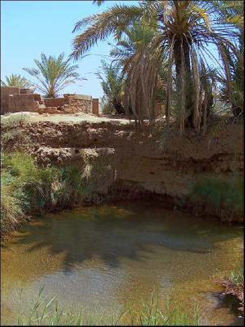 dakhla-magic springs