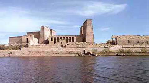 philea